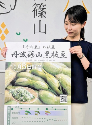 黒枝豆の解禁をＰＲするポスター＝丹波篠山市役所