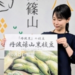 黒枝豆の解禁をＰＲするポスター＝丹波篠山市役所