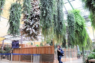 園内を彩っている多様な植物＝神戸どうぶつ王国