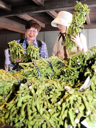 さや付きが良い黒枝豆を選ぶ買い物客＝８日午前、丹波篠山市立町