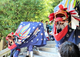 坂越の船祭りで大避神社から浜へ迎う獅子舞＝１１日午後、赤穂市坂越（撮影・桑名良典）