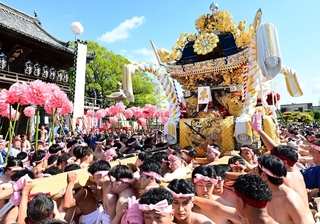 松原八幡神社の楼門前に到着した東山地区の屋台＝１４日午前、姫路市白浜町（撮影・中西幸大）