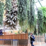 園内を彩っている多様な植物＝神戸どうぶつ王国