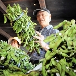 さや付きが良い黒枝豆を選ぶ買い物客＝８日午前、丹波篠山市立町