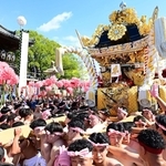 松原八幡神社の楼門前に到着した東山地区の屋台＝１４日午前、姫路市白浜町（撮影・中西幸大）