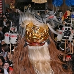 境内で激しい舞を披露する毛獅子＝１４日夜、姫路市大塩町汐咲１、大塩天満宮（撮影・斎藤雅志）
