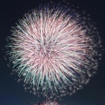 神戸港の夜空を彩る花火＝１９日午後、神戸市中央区港島２、ポートアイランド北公園（撮影・鈴木雅之）