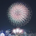 神戸港の夜空を彩る花火＝１９日午後、神戸市中央区港島２、ポートアイランド北公園（撮影・鈴木雅之）