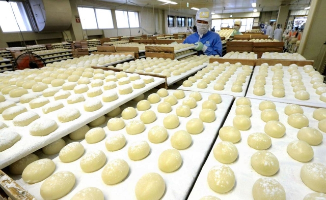 冷却用の板の上に整然と並べられた正月用の丸餅＝２６日午前、神戸市東灘区向洋町西２（撮影・鈴木雅之）