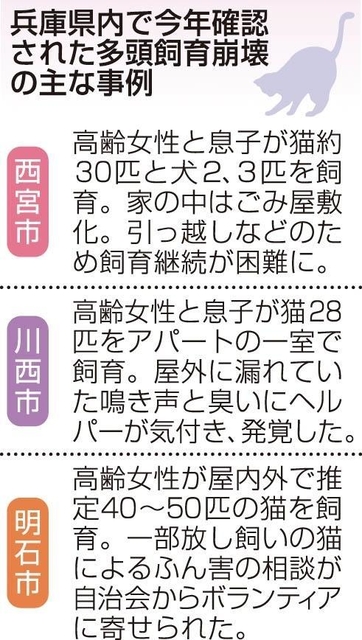 神戸新聞ＮＥＸＴ