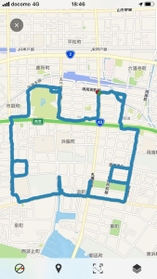 ＧＰＳアートで描いたカエルの顔