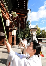 長いササ竹で正門のほこりを払う巫女＝１３日午前、神戸市中央区多聞通３、湊川神社（撮影・後藤亮平）