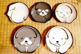 「琳派」の犬図をモチーフにした皿（京都・細見美術館）