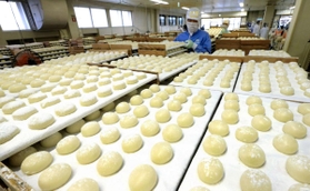 冷却用の板の上に整然と並べられた正月用の丸餅＝２６日午前、神戸市東灘区向洋町西２（撮影・鈴木雅之）