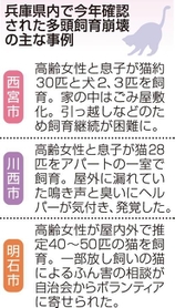 神戸新聞ＮＥＸＴ