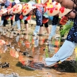 セイコウ・イシカワ駐日ベネズエラ大使の「人と自然をつなぐ田植え式」