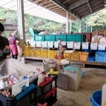 ごみステーションには整然と分別用ケースが並ぶ