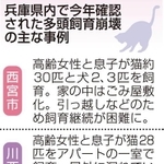 神戸新聞ＮＥＸＴ