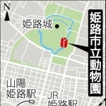 神戸新聞ＮＥＸＴ