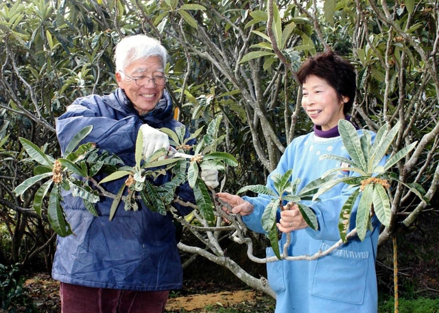 ビワの木の下で、ほほ笑む廣岡卓樹さん、ひろ子さん＝淡路市室津