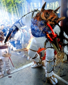 たいまつを手に舞を披露する白鬼＝神戸市須磨区妙法寺