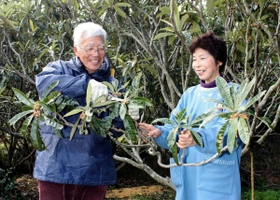 ビワの木の下で、ほほ笑む廣岡卓樹さん、ひろ子さん＝淡路市室津