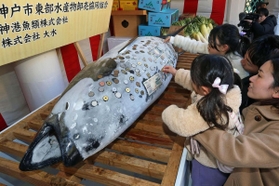 十日えびすでおさい銭の硬貨などが張られた奉納マグロ＝８日午前、西宮神社（撮影・風斗雅博）