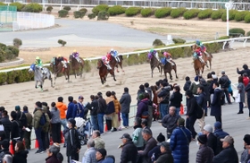予想 姫路 競馬