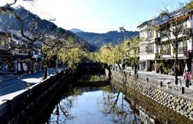 柳揺れる城崎温泉街＝豊岡市城崎町湯島