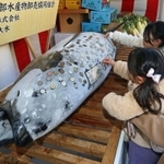 十日えびすでおさい銭の硬貨などが張られた奉納マグロ＝８日午前、西宮神社（撮影・風斗雅博）