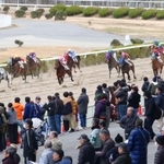 予想を上回る来場者でにぎわう姫路競馬場＝姫路市広峰２（撮影・小林良多）
