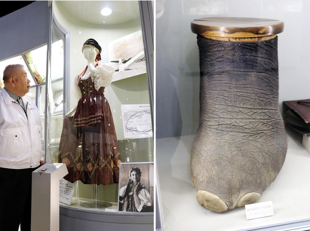 兼高かおるさんゆかりの衣装（左）と展示物「象の足のテーブルの脚　ケニア」＝淡路市塩田新島、淡路ワールドパークＯＮＯＫＯＲＯ