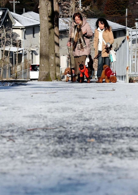 雪化粧した道を散歩する人たち＝６日午前、神戸市北区花山中尾台３（撮影・斎藤雅志）