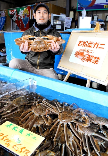 但馬漁協直営店「かに一番館」で販売されるミズガニ＝兵庫県香美町香住区沖浦