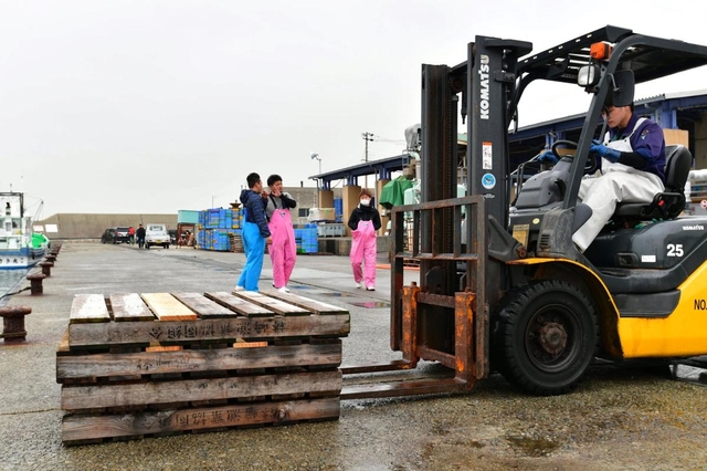 イカナゴが取れず、運ぶためのパレットも撤去された＝２９日午前、林崎漁港（撮影・秋山亮太）