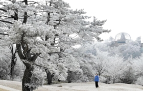 霧氷で白く染まった木々＝１８日午前、神戸市灘区六甲山町北六甲、六甲山スノーパーク（撮影・三津山朋彦）