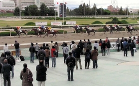 園田競馬場（資料写真）
