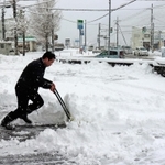市街地でもまとまった積雪を記録。銀行の駐車場で行員が雪かきに追われた＝６日午前８時すぎ、養父市八鹿町八鹿（撮影・桑名良典）