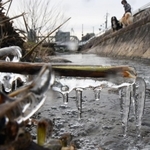 厳しい冷え込みで川岸の草は凍り付いていた＝７日午前、神戸市東灘区、住吉川（撮影・中西幸大）
