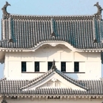 姫路城大天守の屋根を伝う避雷針の導線＝姫路市本町（撮影・小林良多）