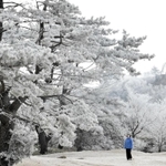 霧氷で白く染まった木々＝１８日午前、神戸市灘区六甲山町北六甲、六甲山スノーパーク（撮影・三津山朋彦）