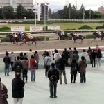 園田競馬場（資料写真）