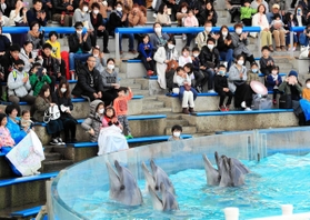 親子連れらでにぎわうイルカショーの会場。３日からの休園を前につかの間の行楽気分を味わった＝１日午後、神戸市須磨区若宮町１、神戸市立須磨海浜水族園（撮影・斎藤雅志）
