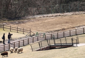 フェンスなどで囲われた死んだ動物を埋めていた区域（写真奥）＝１９日午後、神戸市灘区六甲山町、市立六甲山牧場（撮影・吉田敦史）
