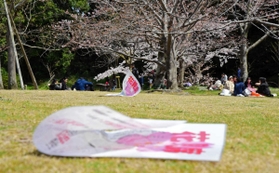 花見客に隣のグループとの間隔を空けてもらうため、地面に打ち込まれた張り紙＝２９日午後、明石公園（撮影・中西幸大）