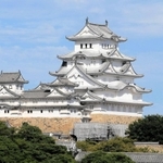 新型コロナウイルスの感染拡大を受け、天守などの公開が中止されることになった世界文化遺産・国宝姫路＝姫路市本町
