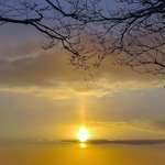 光の柱が上に伸びるとともに太陽光が雲海にも反射して幻想的な風景が広がった＝１５日午前６時３５分、養父市の氷ノ山（木藤将人さん撮影）