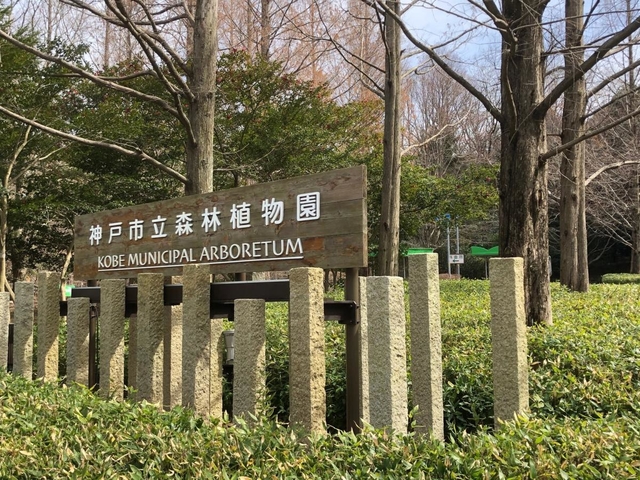 神戸市立森林植物園＝神戸市北区山田町