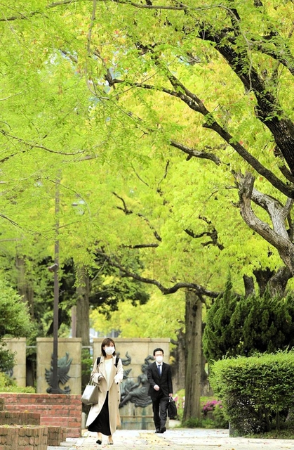 さわやかに輝く木々の新緑＝２１日午前、神戸市中央区加納町６、東遊園地