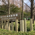神戸市立森林植物園＝神戸市北区山田町